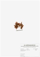 藏品(旋花藻)的圖片
